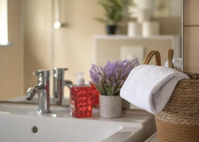 L'îlot - Confort Strasbourg